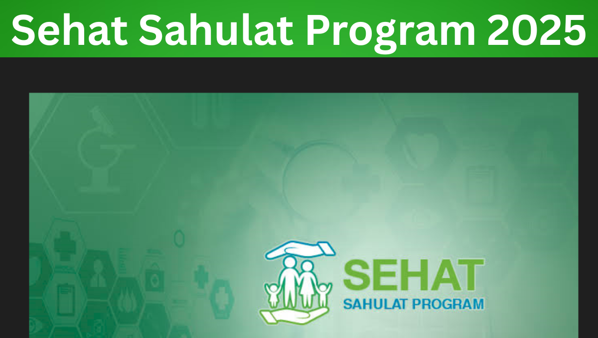 Read more about the article Sehat Sahulat Program 2025: A Comprehensive Initiative for Free Healthcare in Pakistan